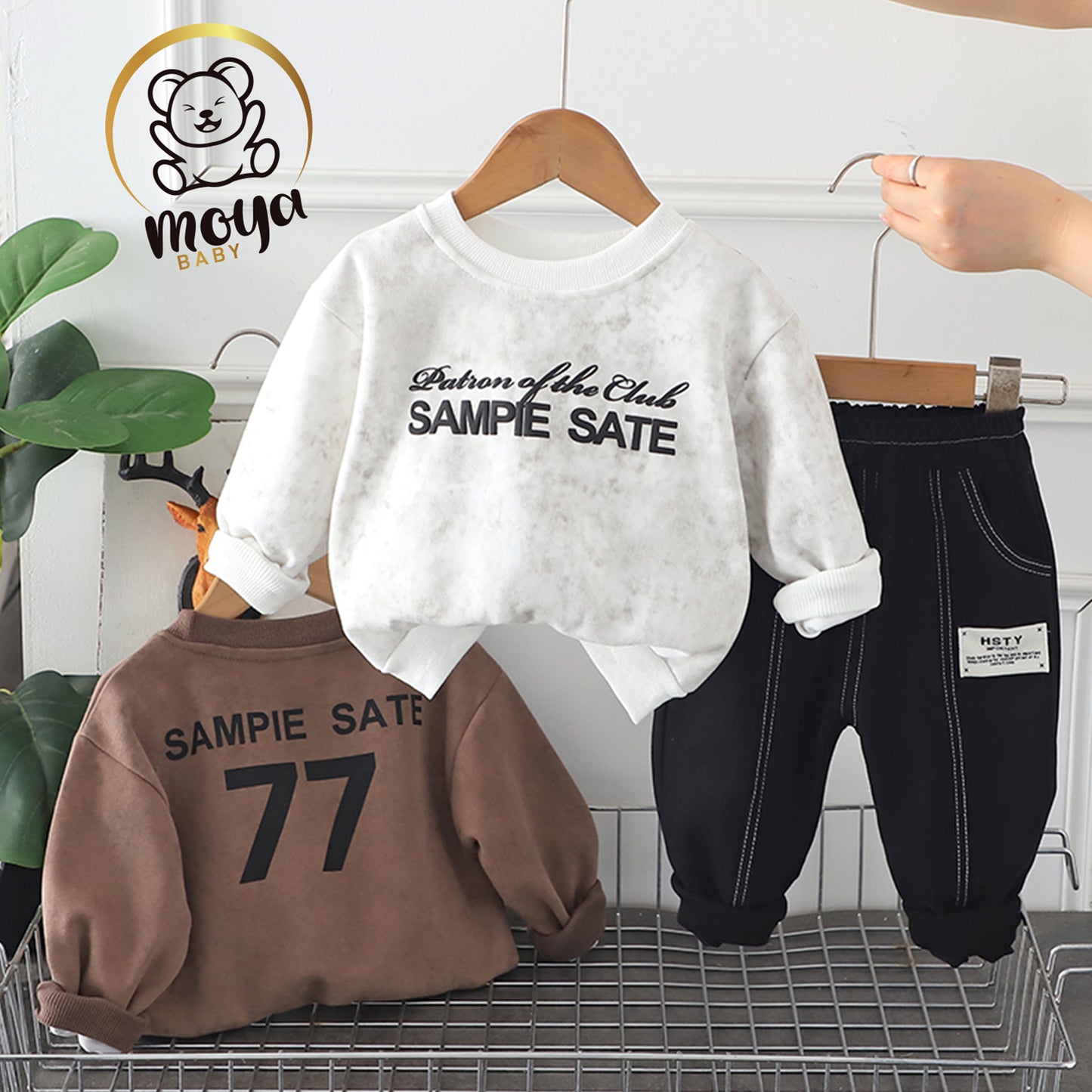 ensemble sampie sate