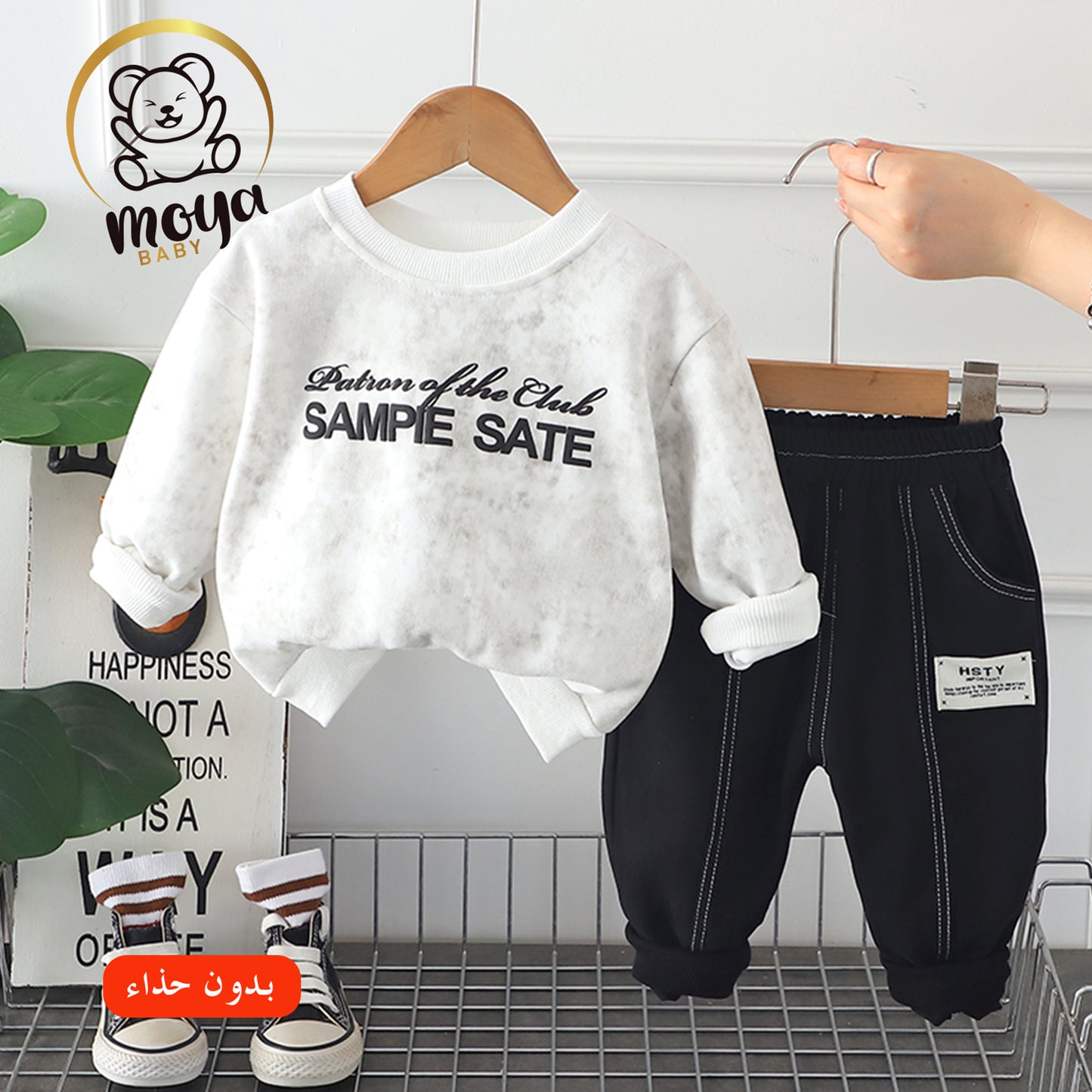 ensemble sampie sate