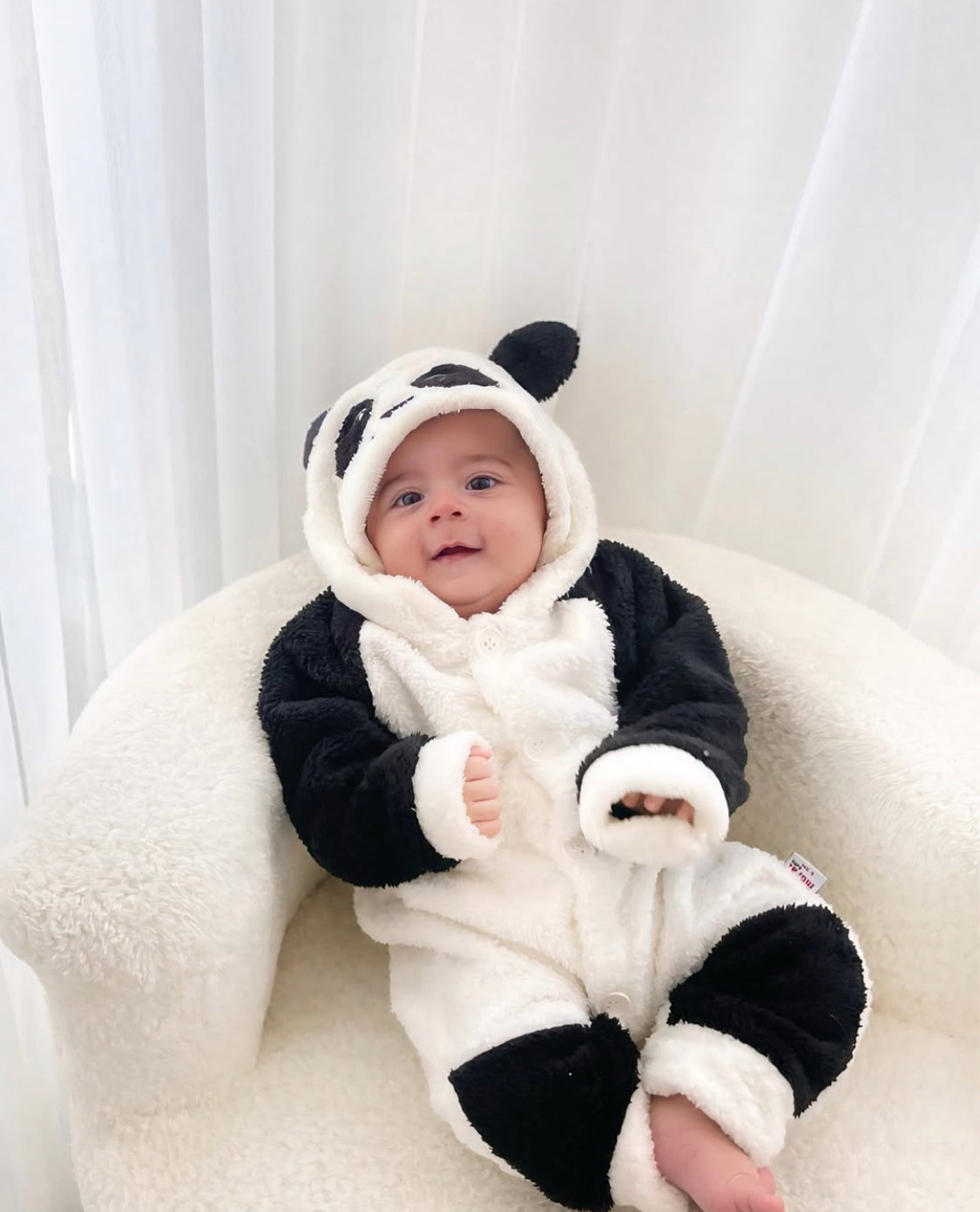 panda